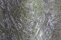 Selsdon fibreglass roof work